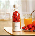 PORTABLE JUICER DM-518